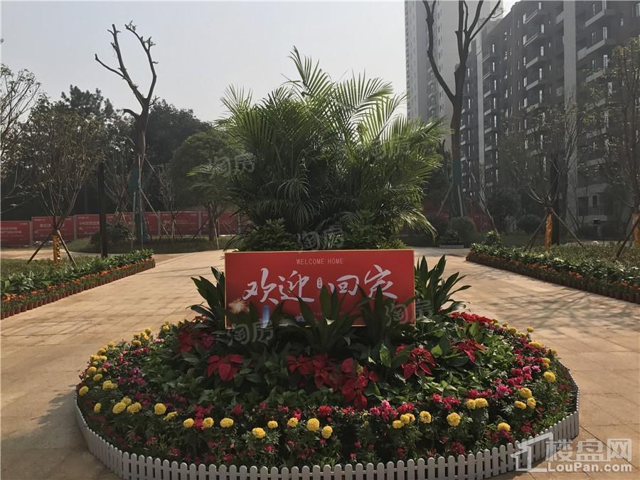 新华联梦想城实景图