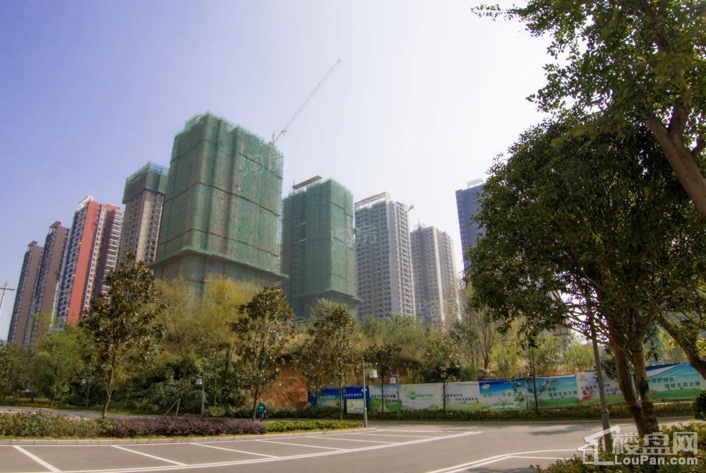 中环国际·公园1号实景图