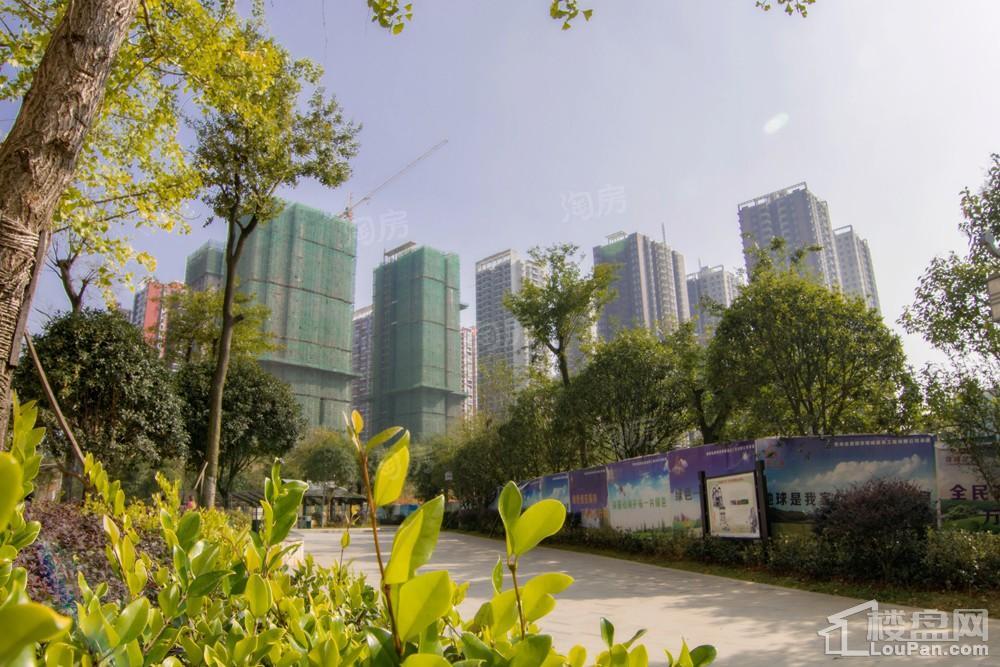 中环国际·公园1号实景图