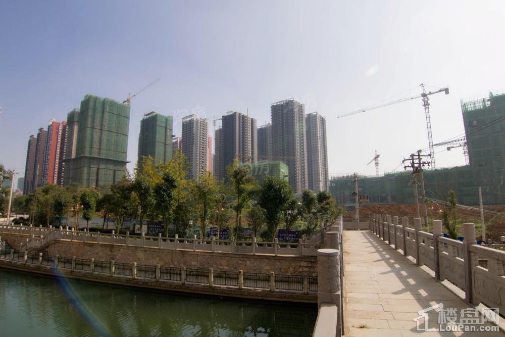 中环国际·公园1号实景图