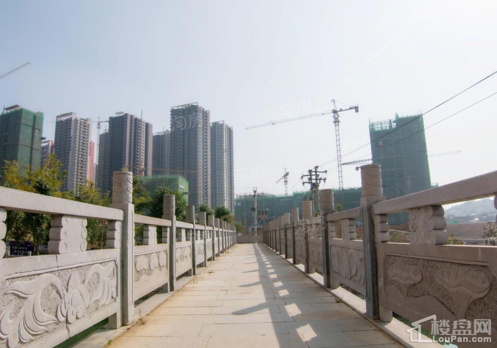 中环国际·公园1号实景图