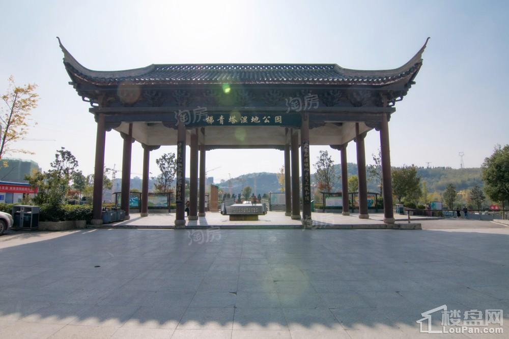 中环国际·公园1号实景图
