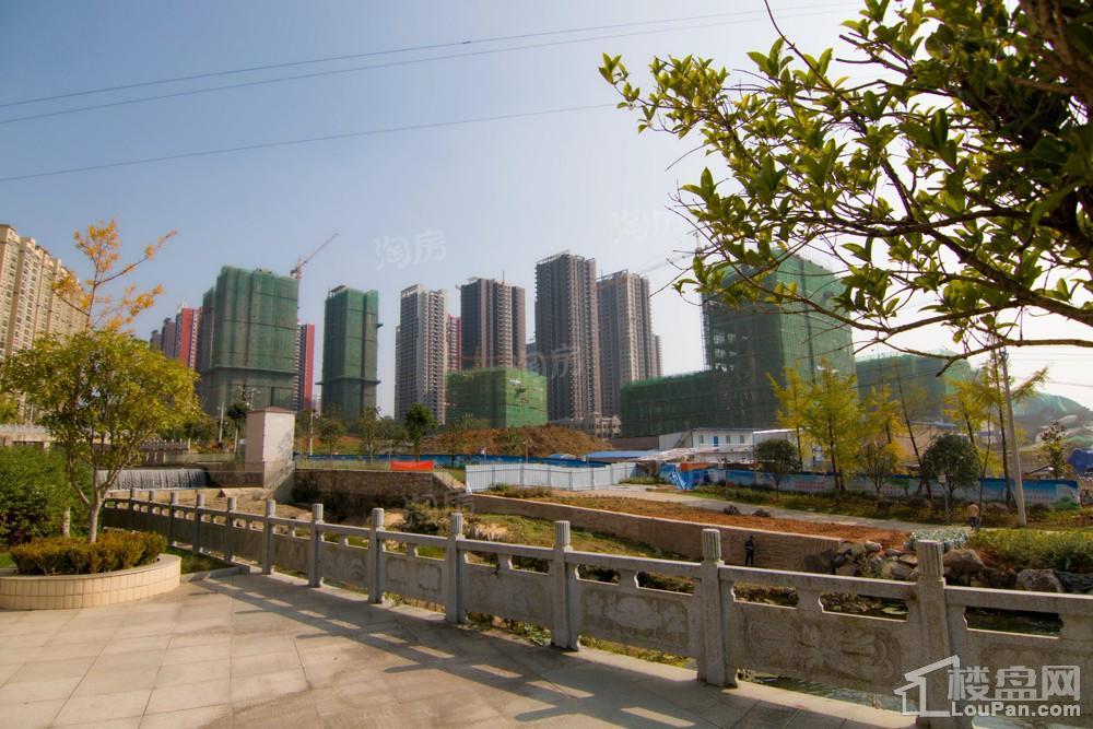 中环国际·公园1号实景图