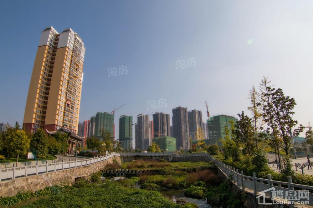 中环国际·公园1号实景图