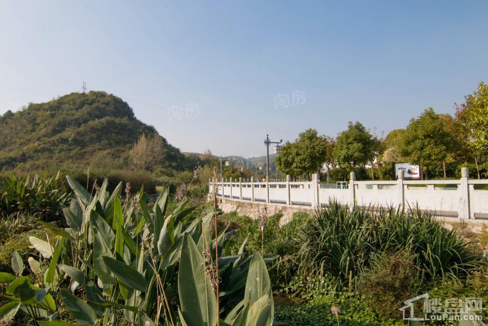 中环国际·公园1号实景图