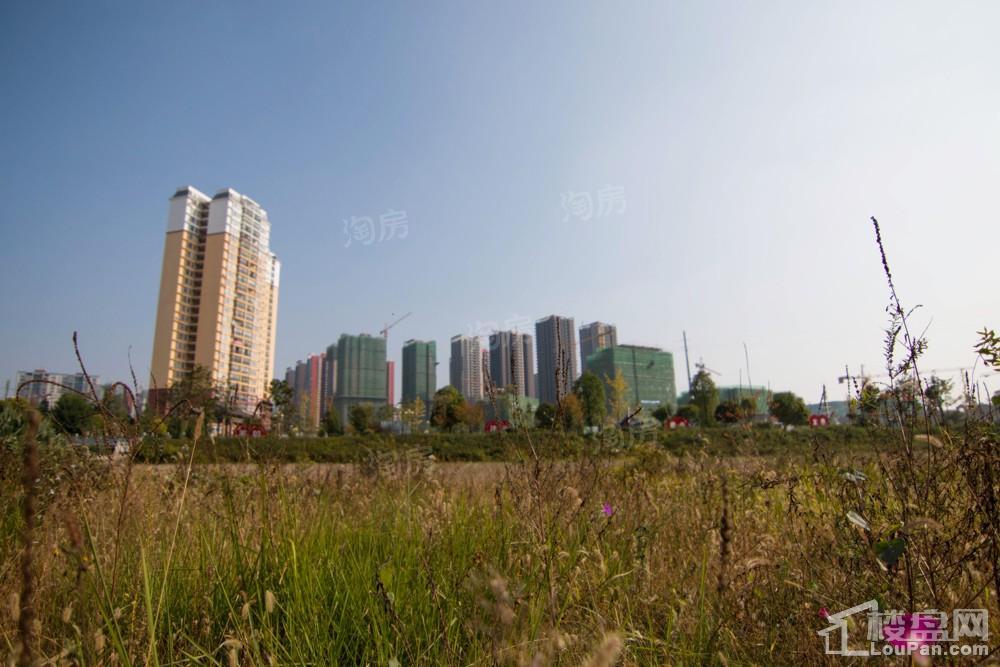 中环国际·公园1号实景图