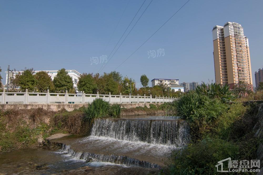 中环国际·公园1号实景图