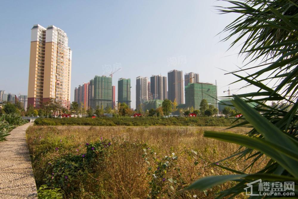 中环国际·公园1号实景图