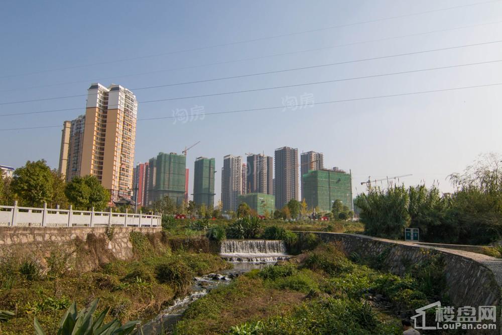 中环国际·公园1号实景图