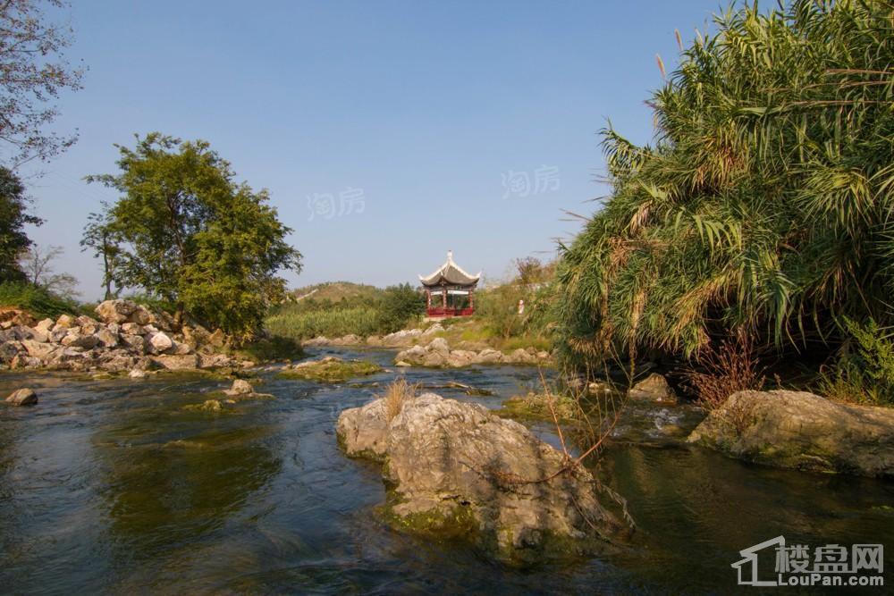 中环国际·公园1号实景图