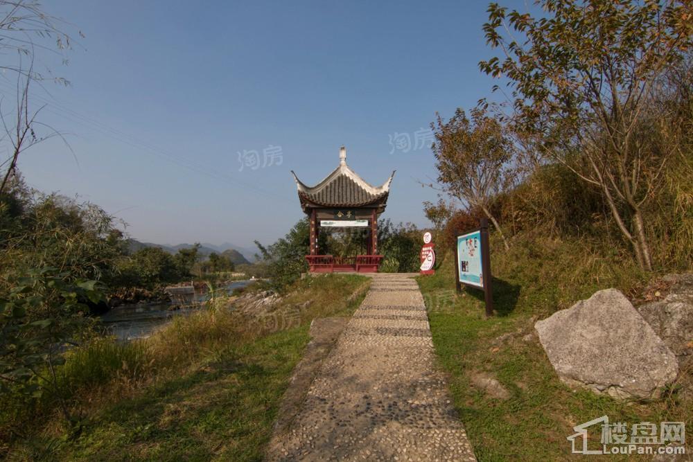 中环国际·公园1号实景图