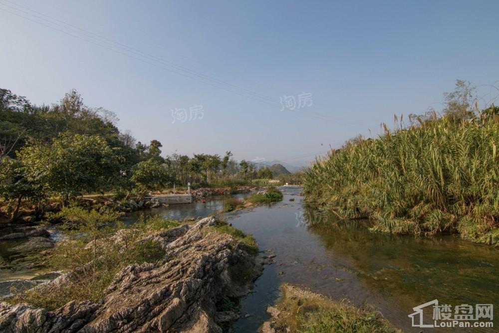 中环国际·公园1号实景图