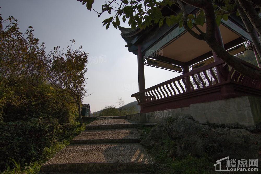 中环国际·公园1号实景图