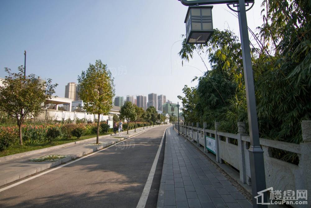 中环国际·公园1号实景图