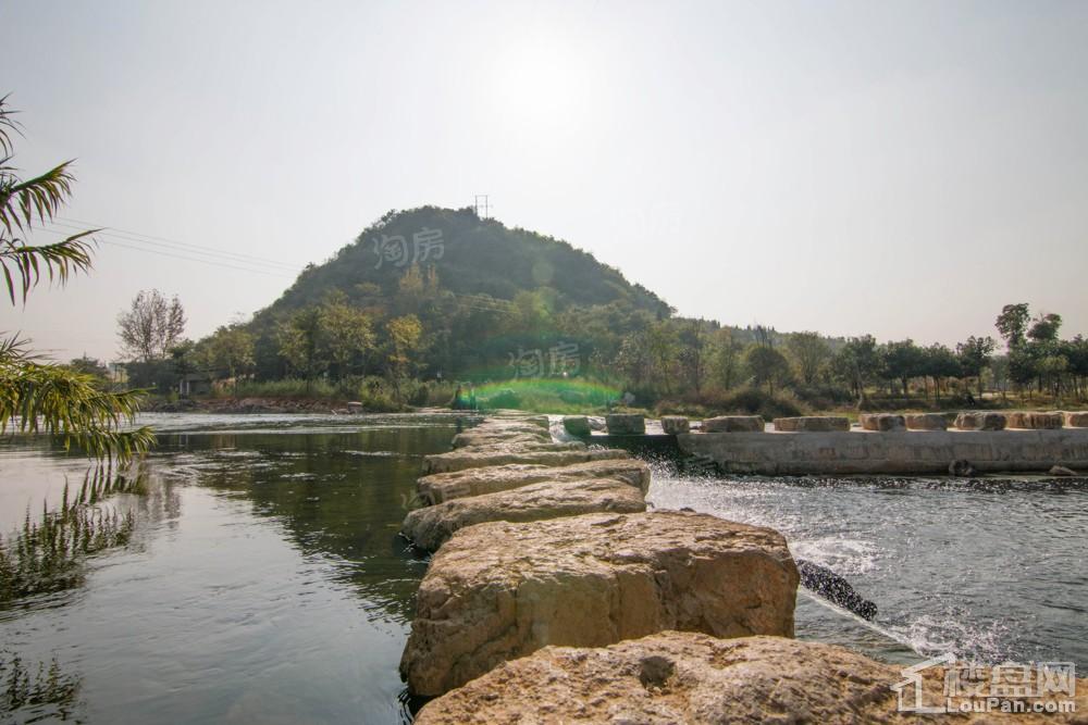 中环国际·公园1号实景图
