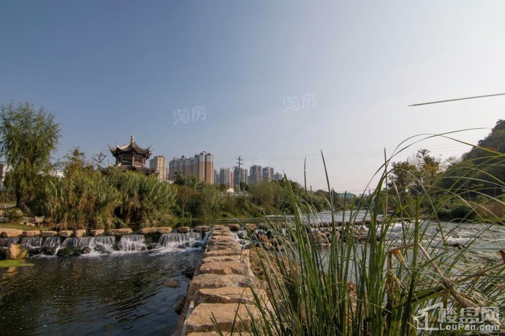 中环国际·公园1号实景图