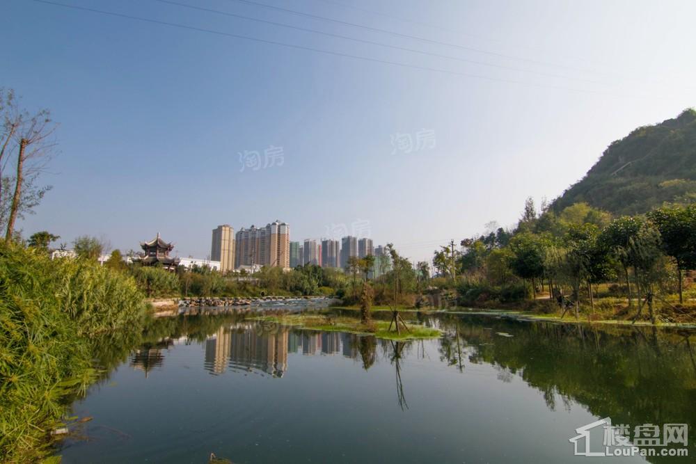 中环国际·公园1号实景图