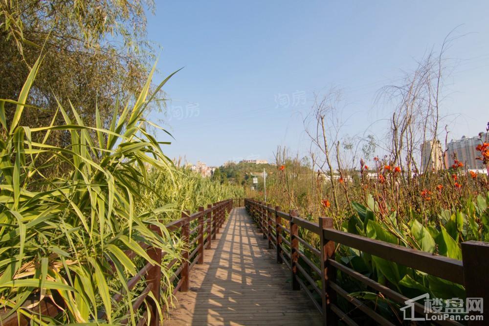 中环国际·公园1号实景图