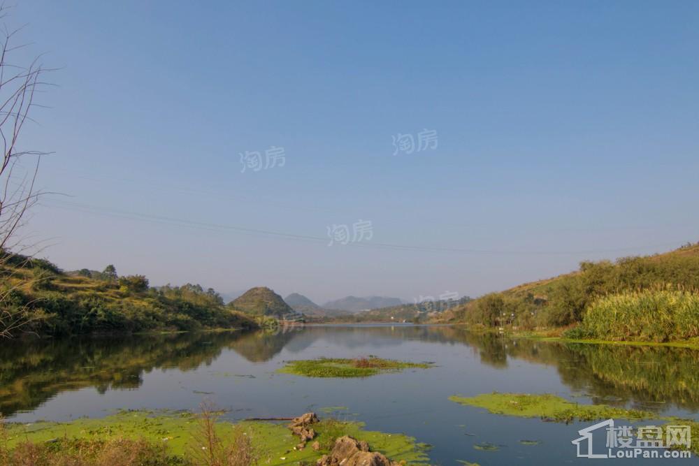 中环国际·公园1号实景图