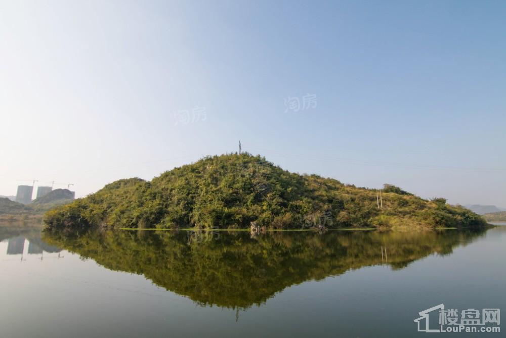 中环国际·公园1号实景图