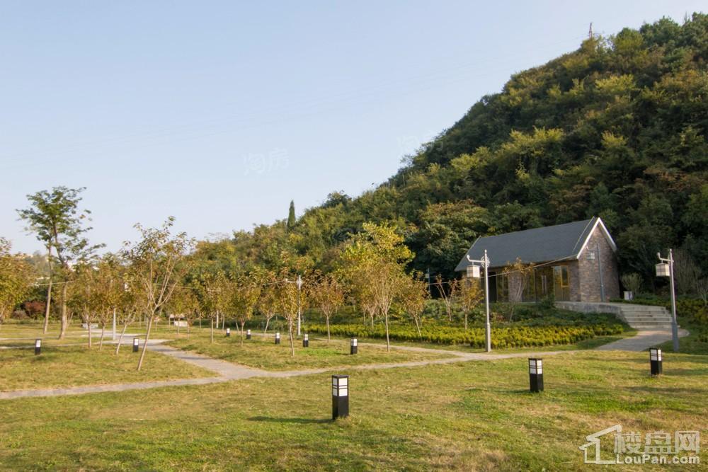 中环国际·公园1号实景图