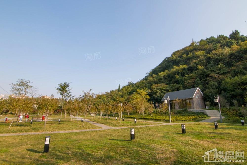 中环国际·公园1号实景图