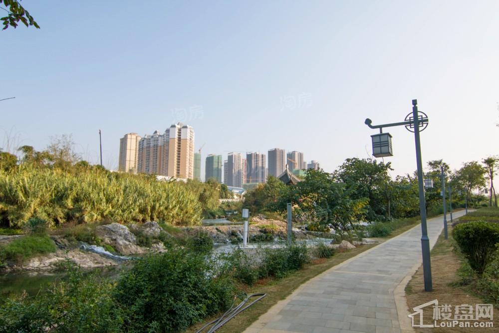中环国际·公园1号实景图