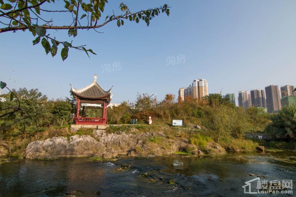 中环国际·公园1号实景图
