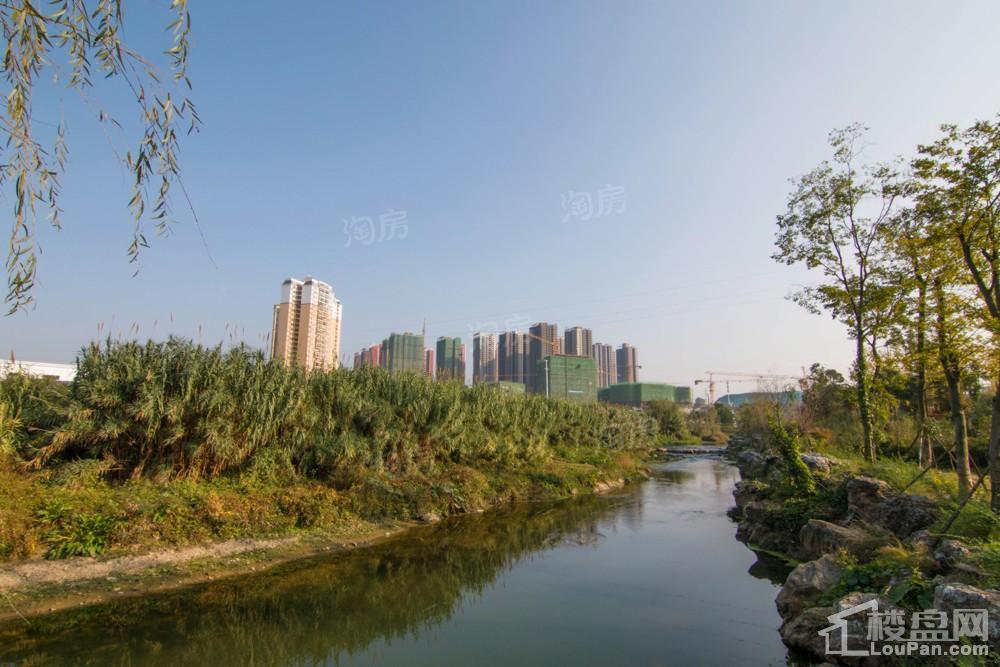 中环国际·公园1号实景图