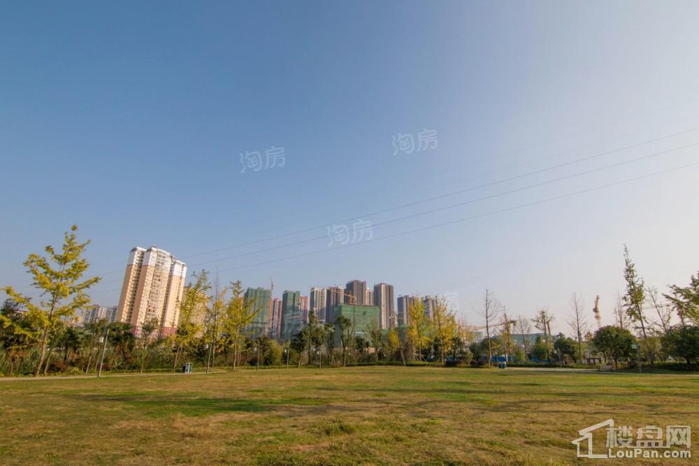 中环国际·公园1号实景图