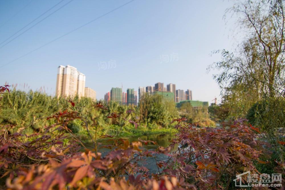 中环国际·公园1号实景图