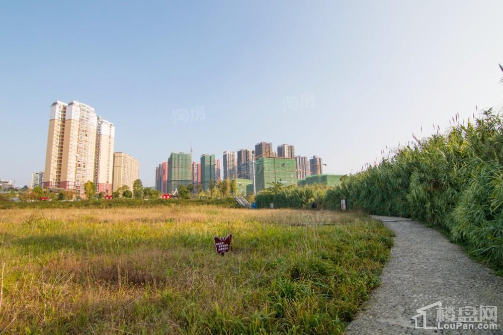 中环国际·公园1号实景图