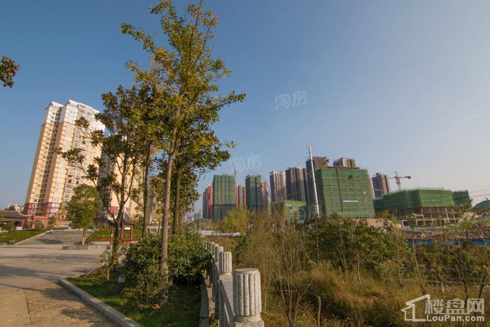 中环国际·公园1号实景图
