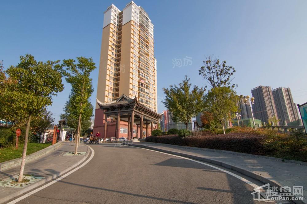 中环国际·公园1号实景图