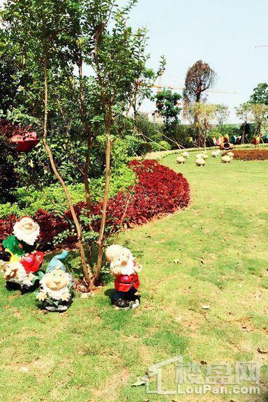 绿湖国际城实景图