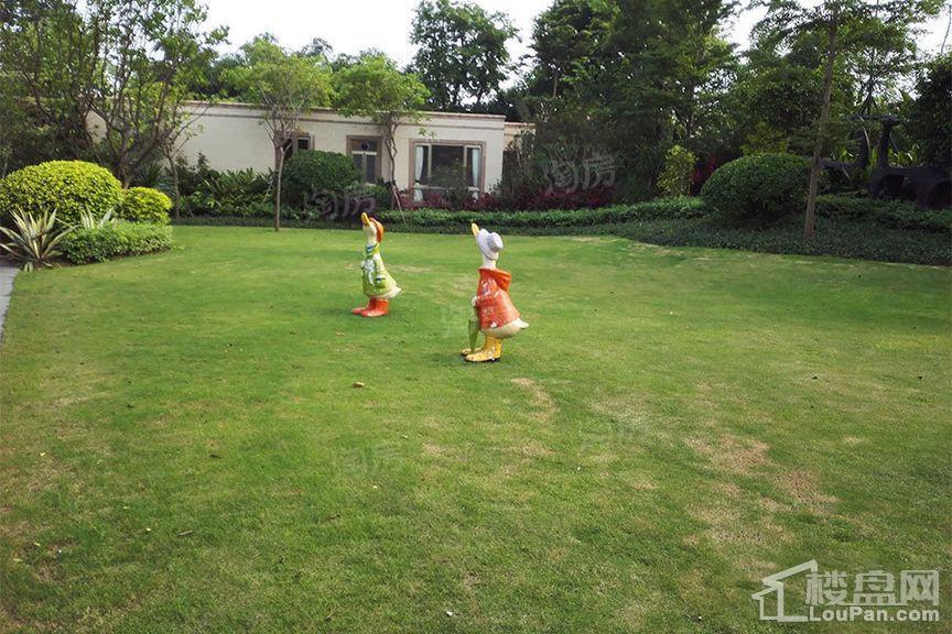 绿湖国际城实景图