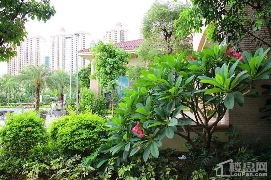 绿湖国际城实景图