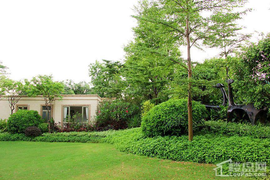 绿湖国际城实景图