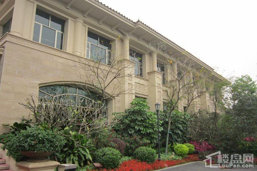 绿湖国际城实景图