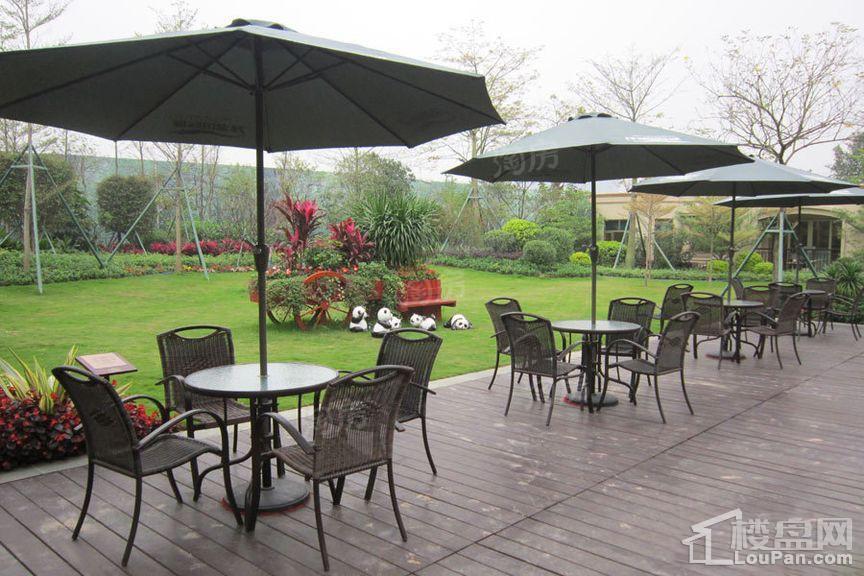 绿湖国际城实景图