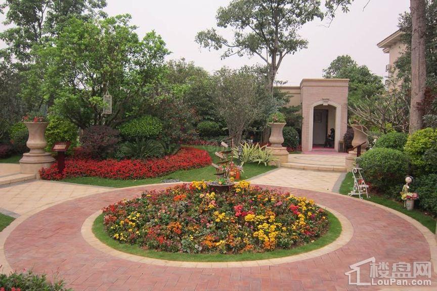 绿湖国际城实景图