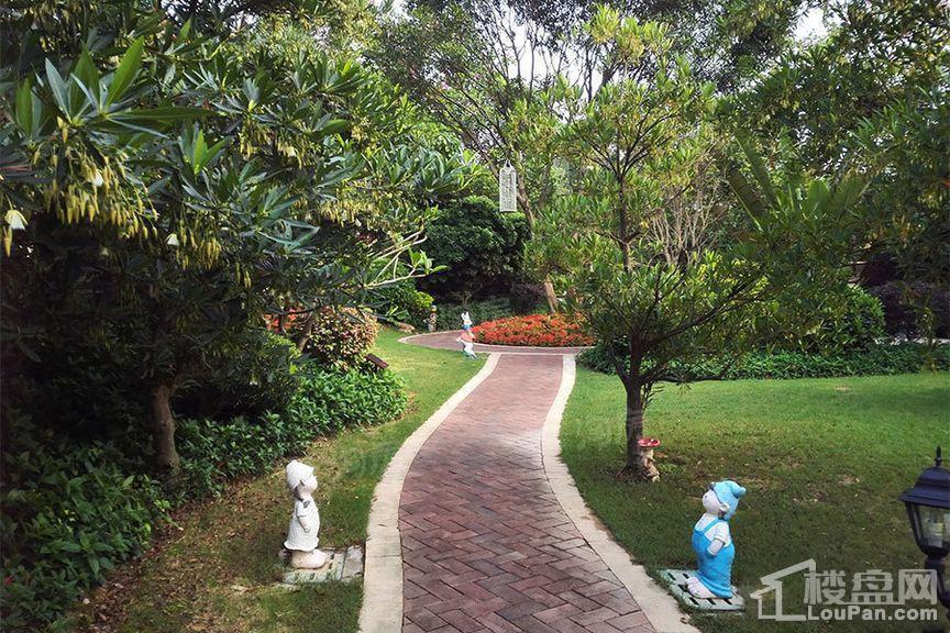 绿湖国际城实景图