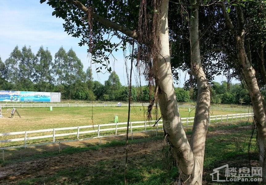 南宁绿地城配套图