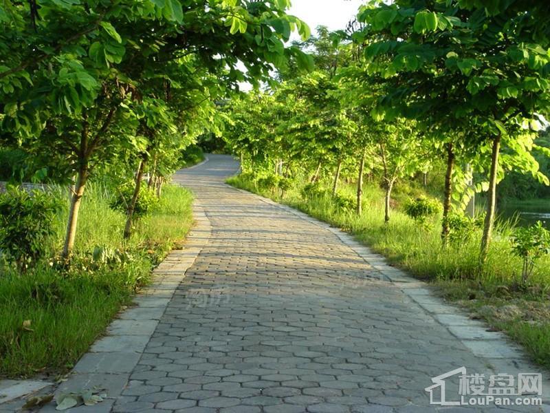 南宁绿地城配套图