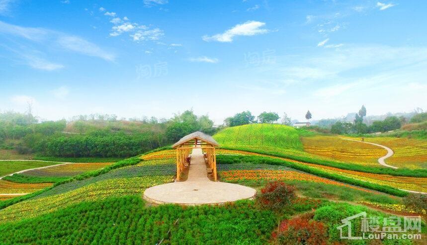 中铁任之健康城实景图
