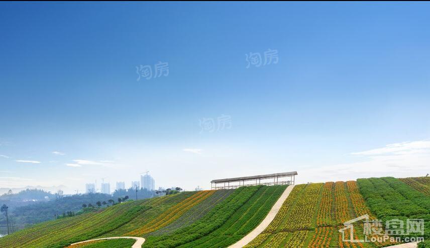 中铁任之健康城实景图