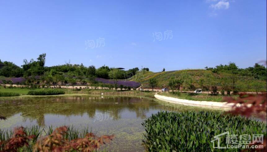 中铁任之健康城配套图