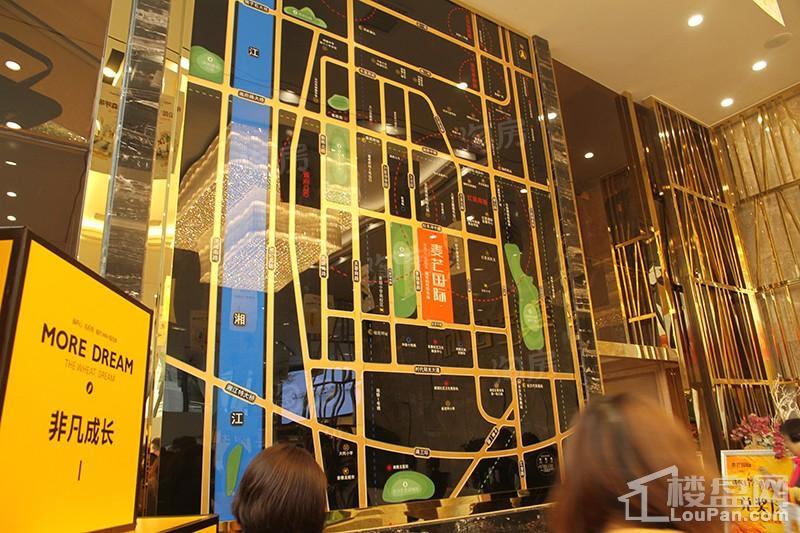 麦芒国际实景图