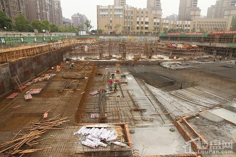 麦芒国际实景图