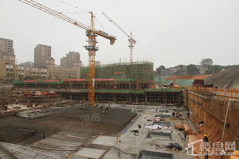 麦芒国际实景图